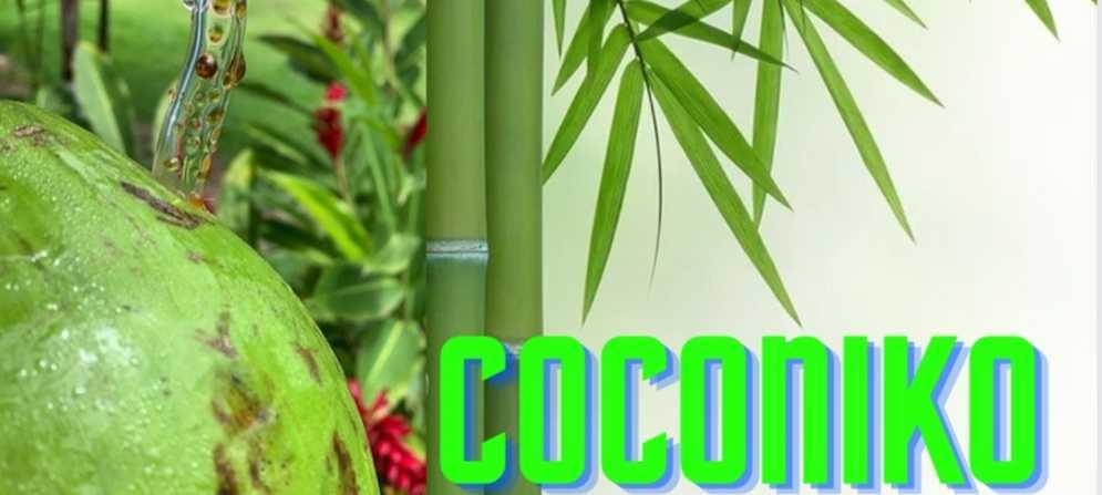 GELO DE COCO - Comprar em Coconut Brasil