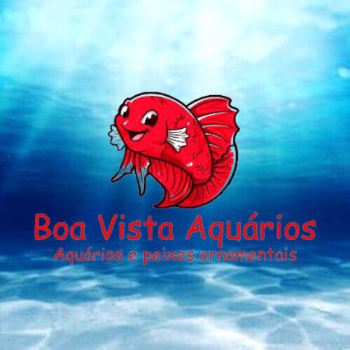 Boa Vista Aquários