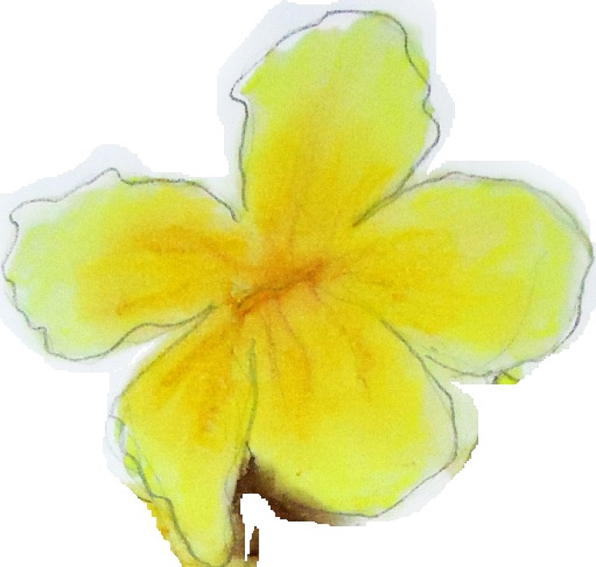 Flor de Ipê Viveiro