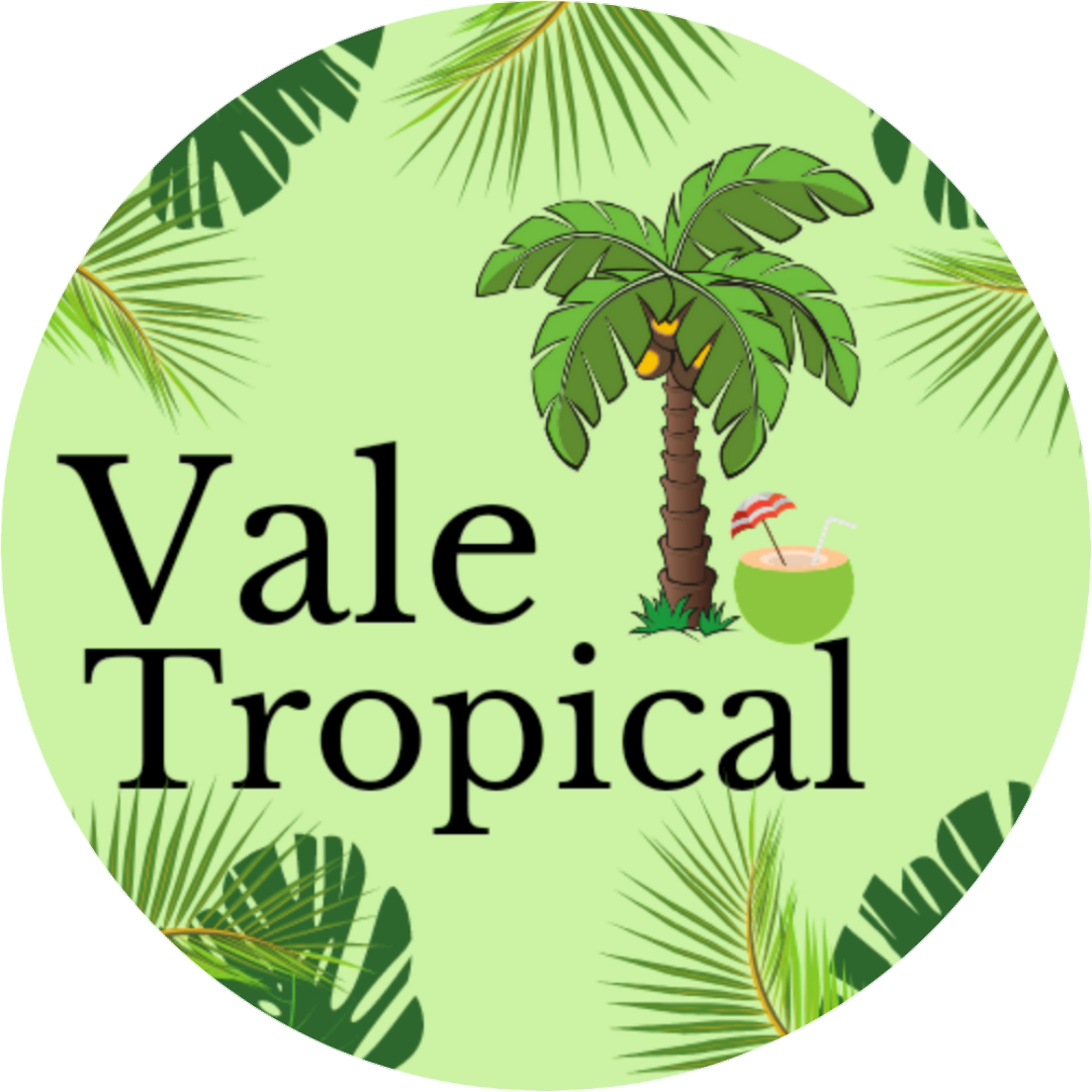 Lanchonete vale tropical
