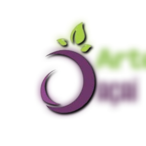 Artesano's Açaí 🫐