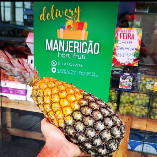 Manjericão Hortifruti