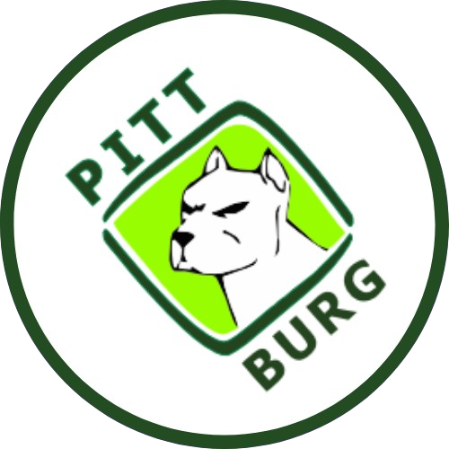 Pitt Burg Lanches