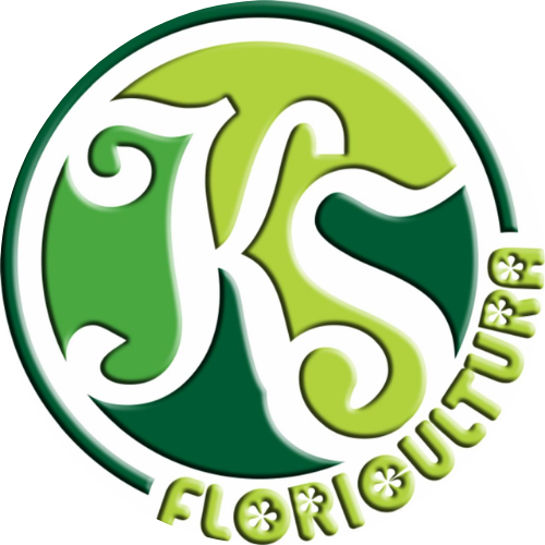 KS Floricultura