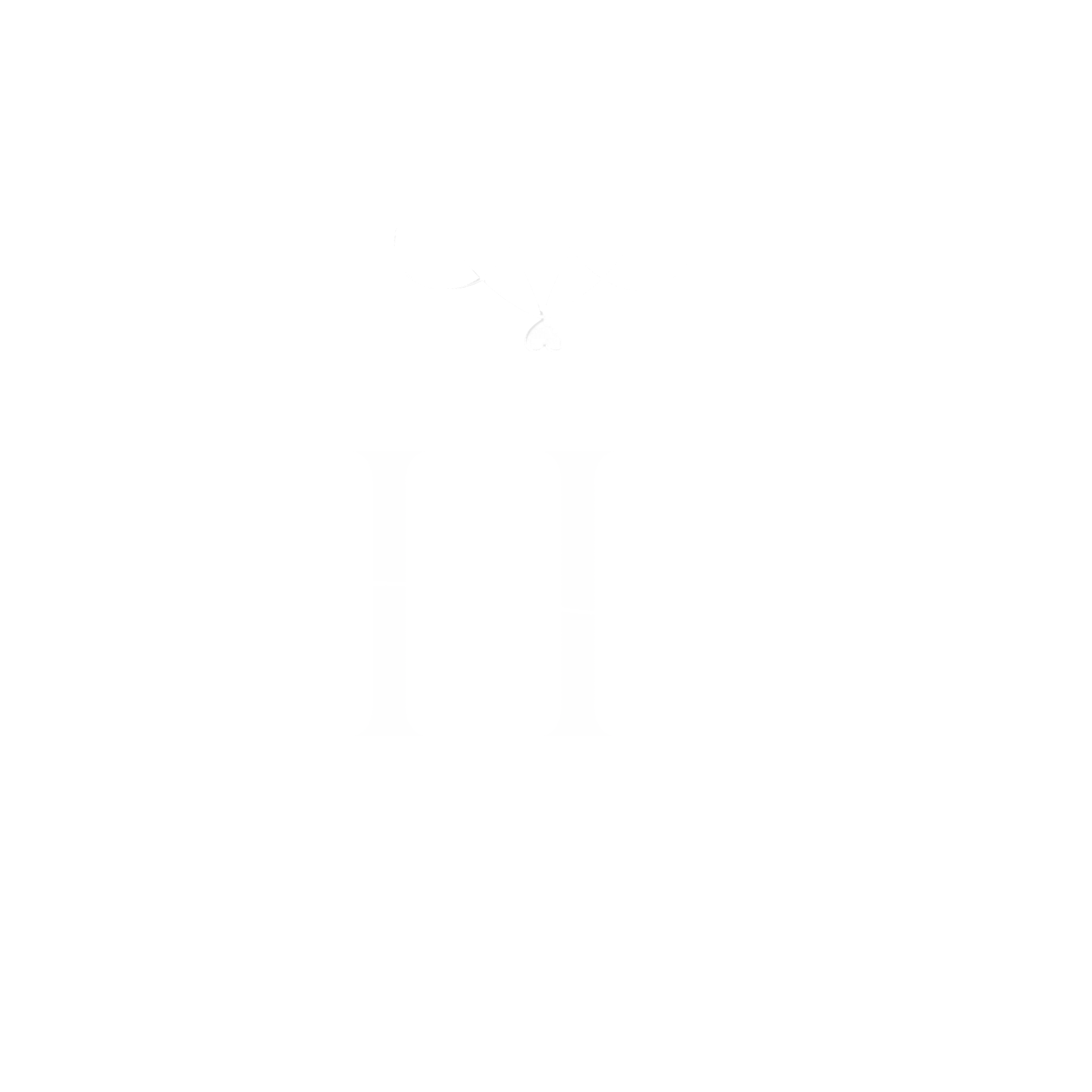 Holanda's Fit