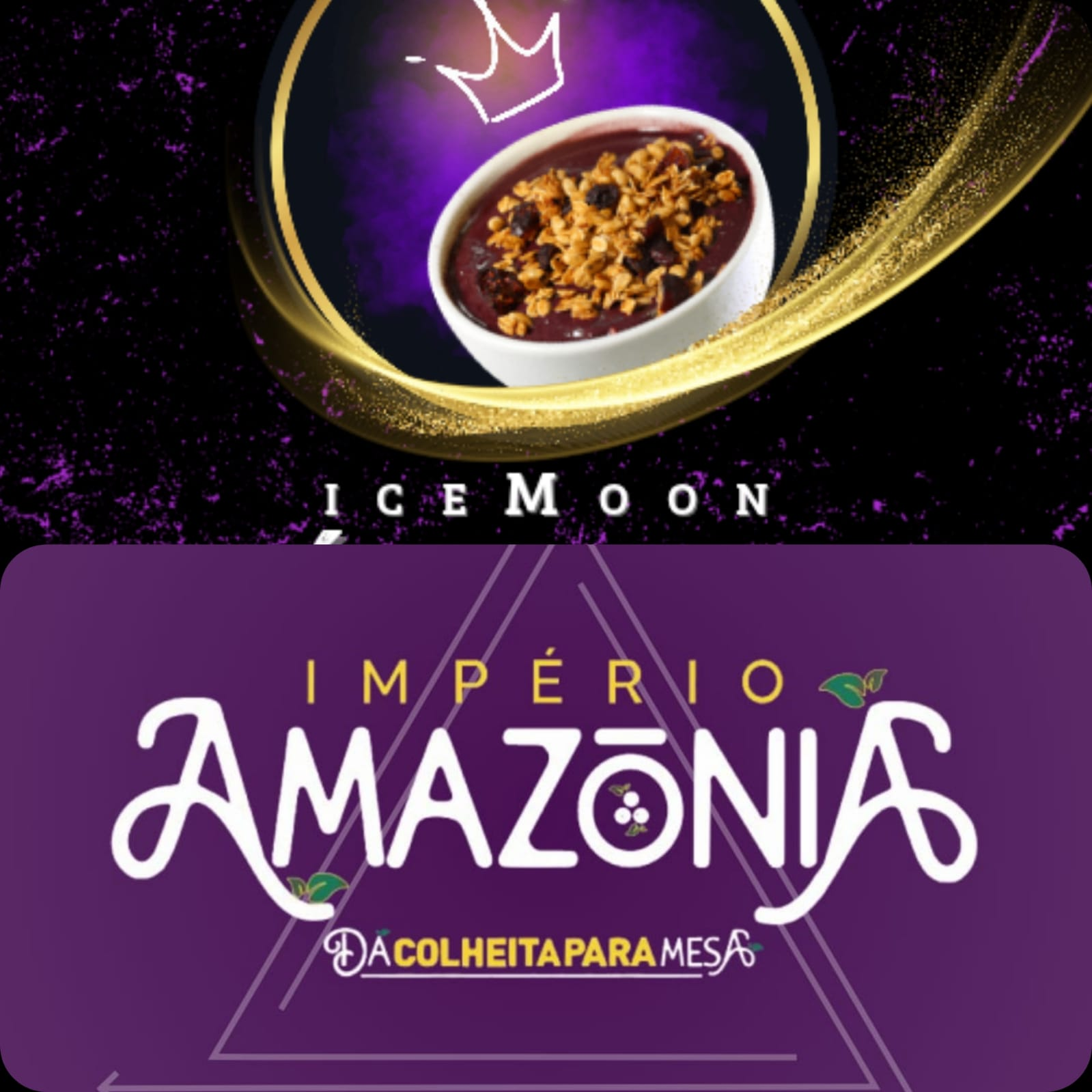 IceMoon