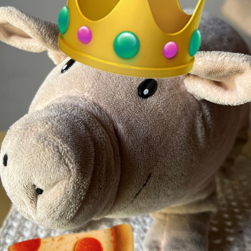 Glúten Free Pizza Oinc Pinhais