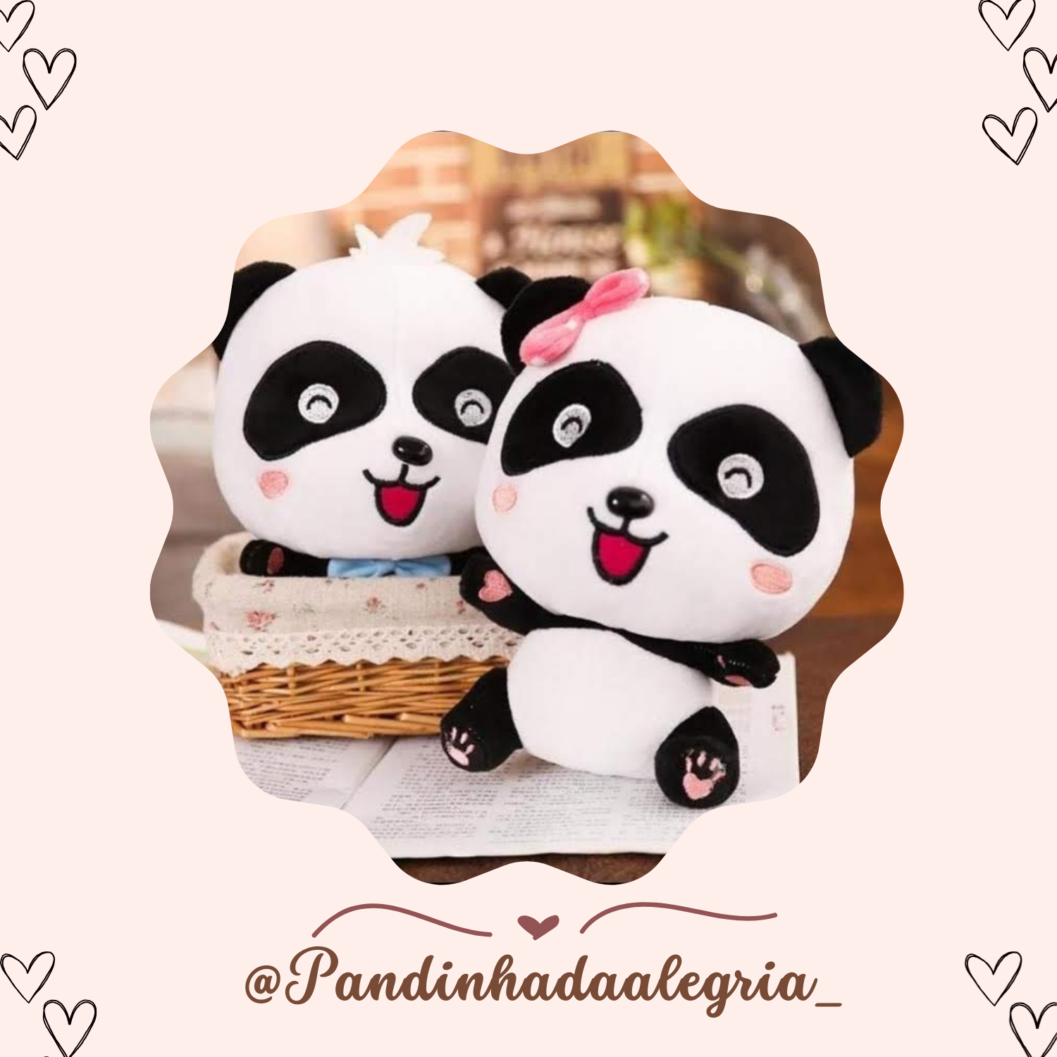 Pandinha da Alegria