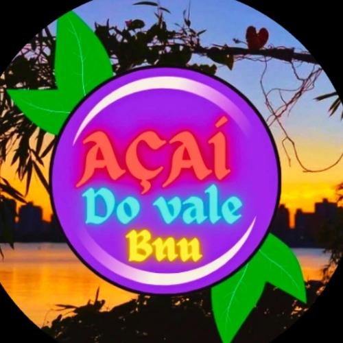 Vale do açaí bnu