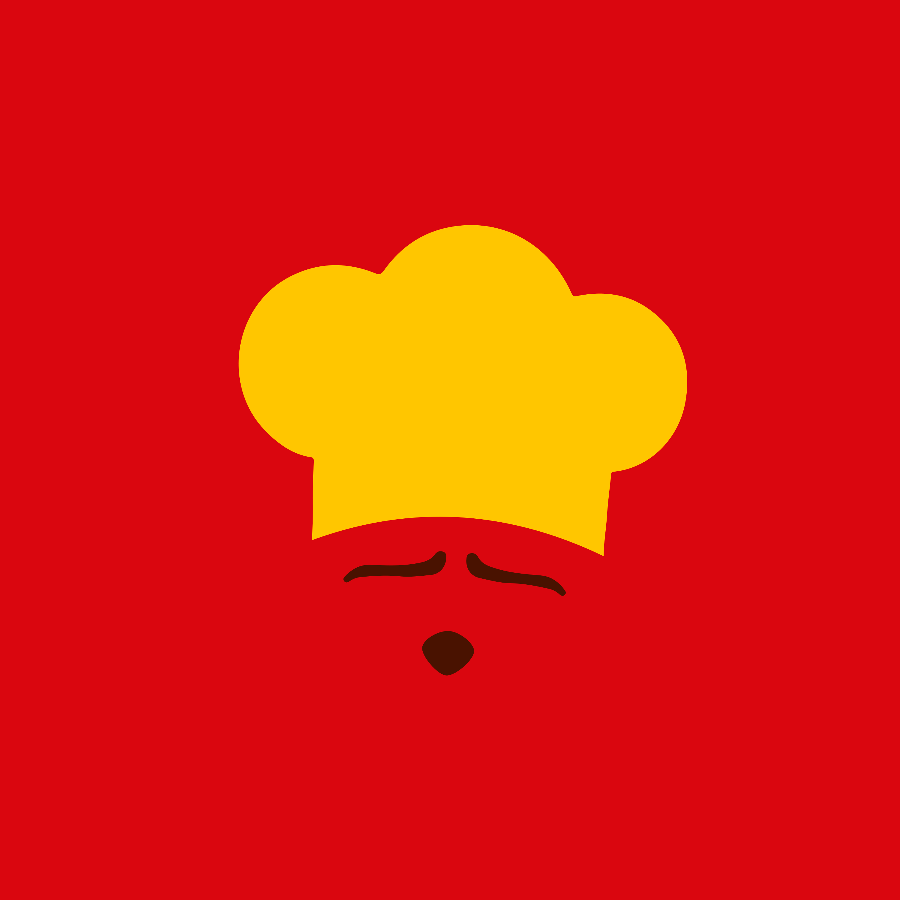 Don Chef Cozinha