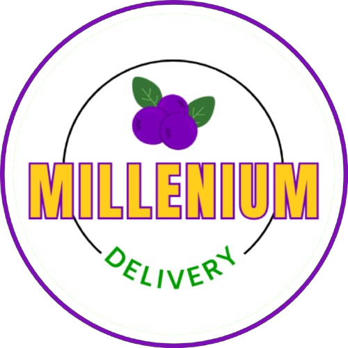 milleniumdeliveryvilavelha