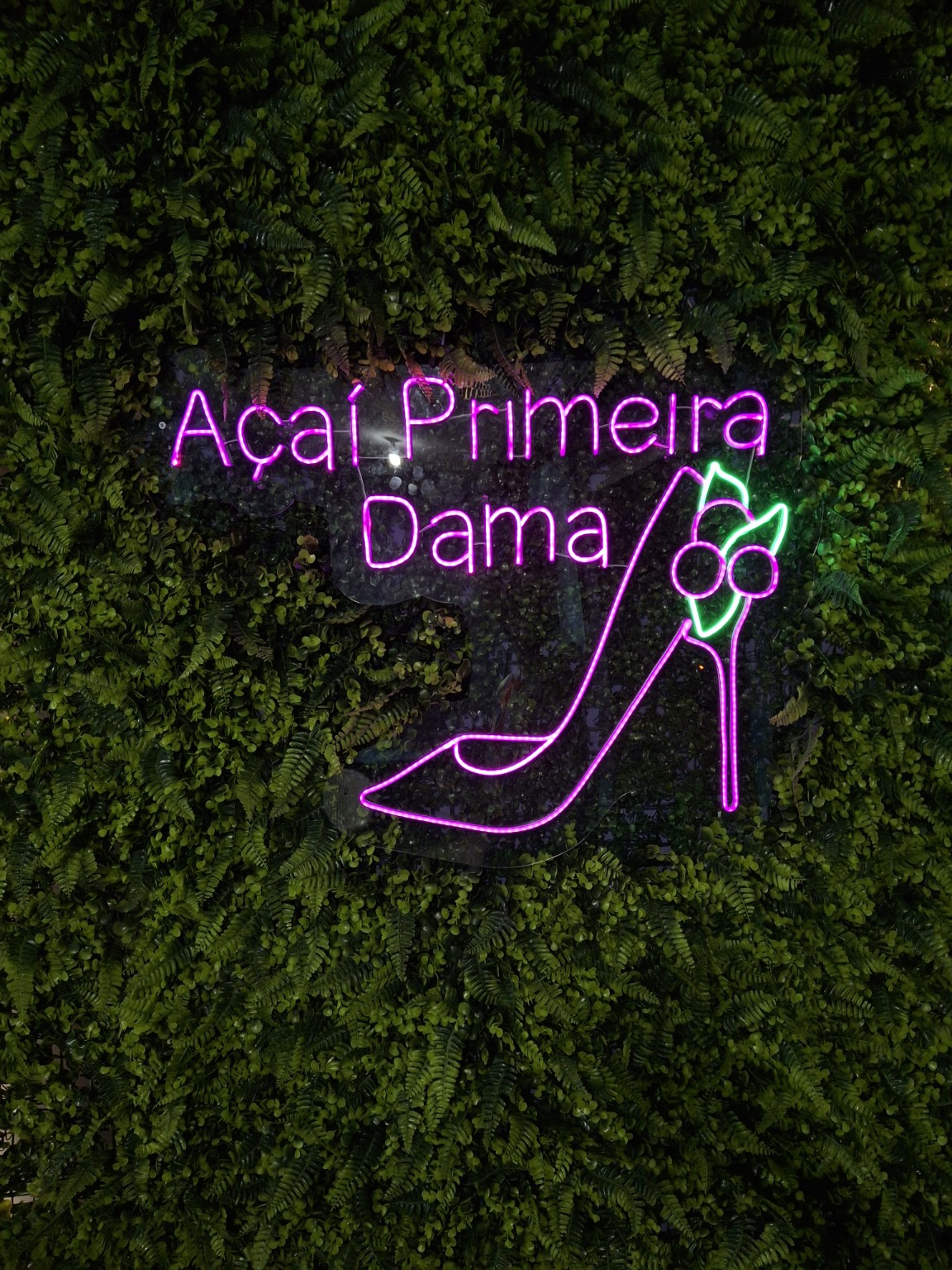 Açaí Primeira Dama