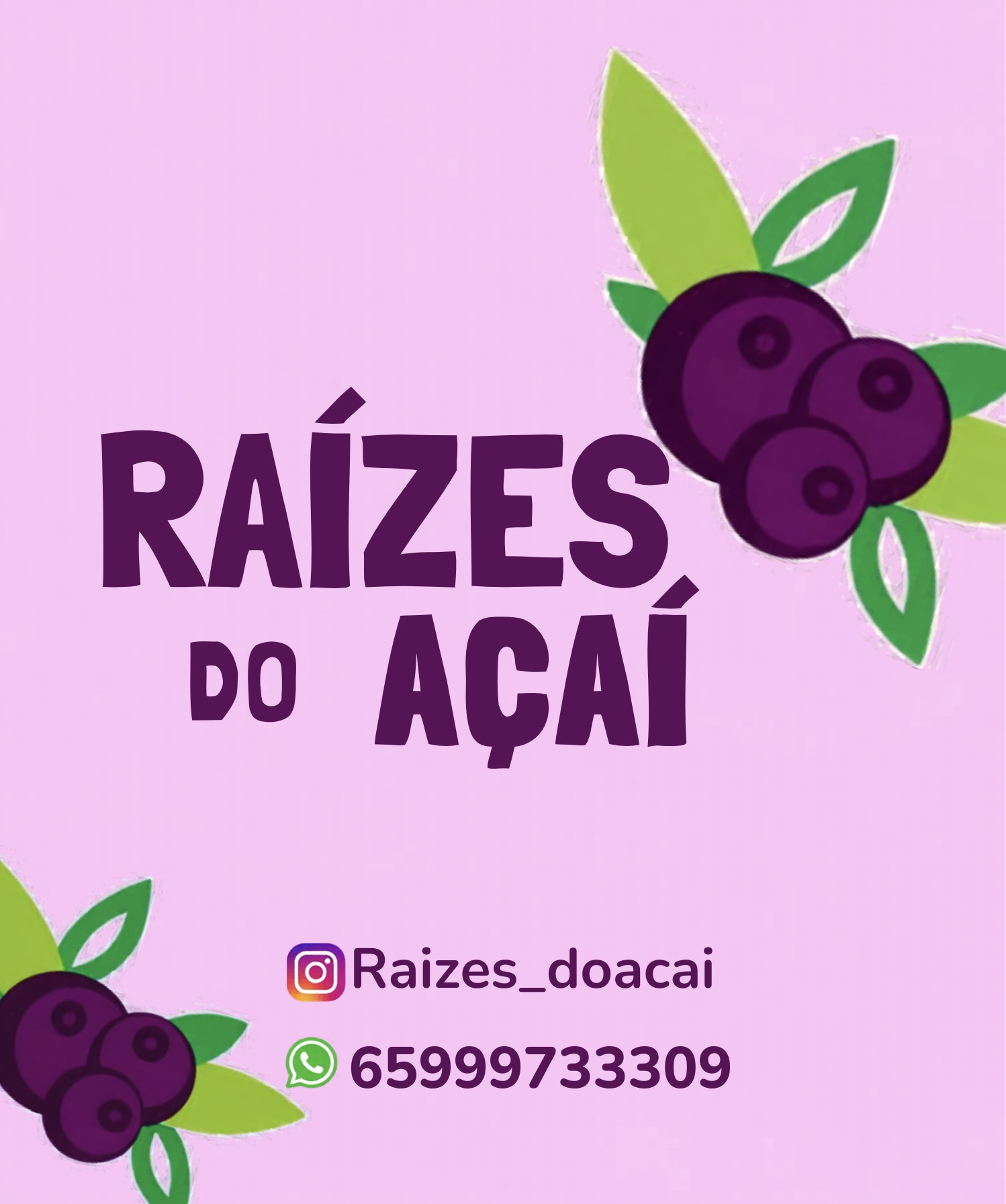 Raízes do Açaí