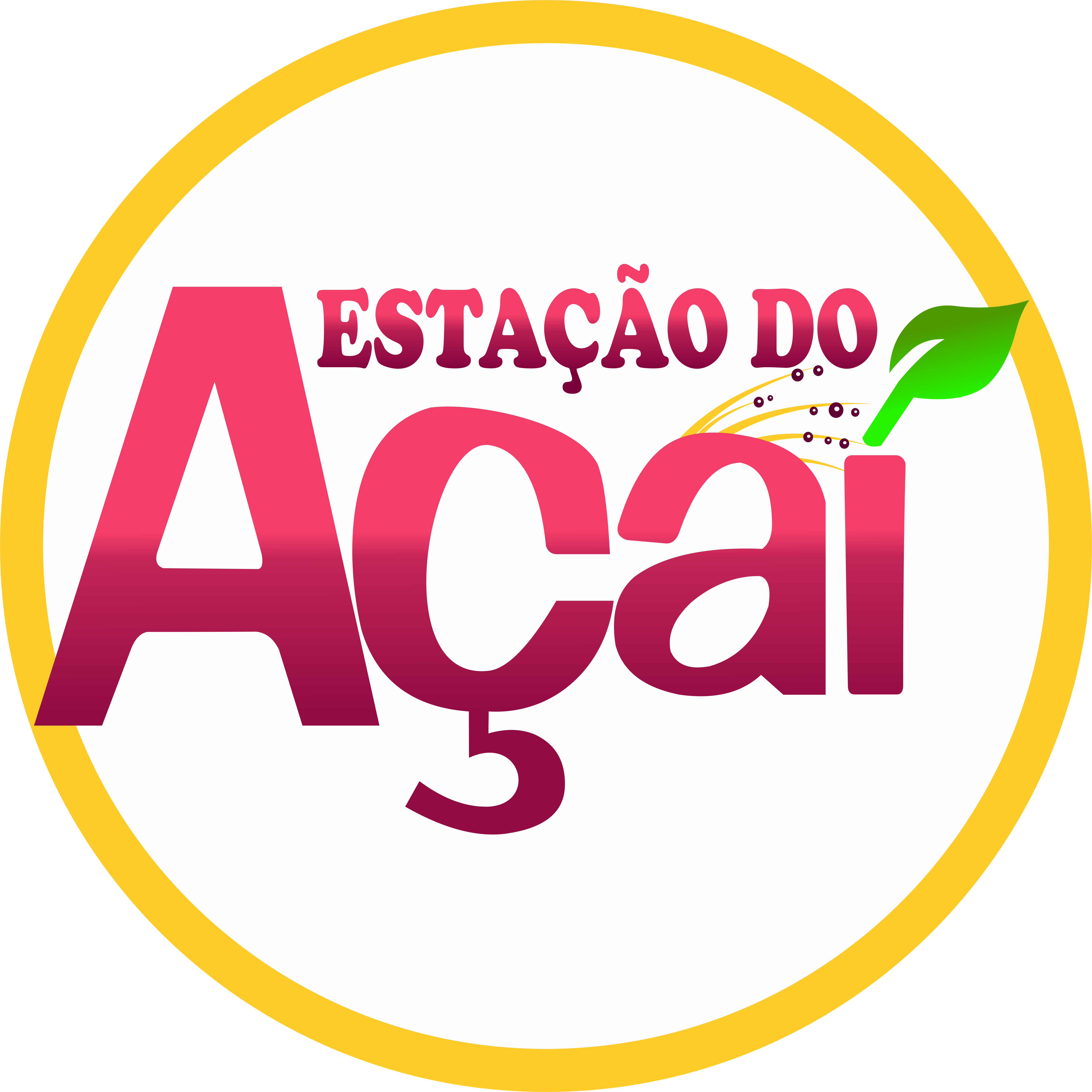 Estação do Açaí Ltda