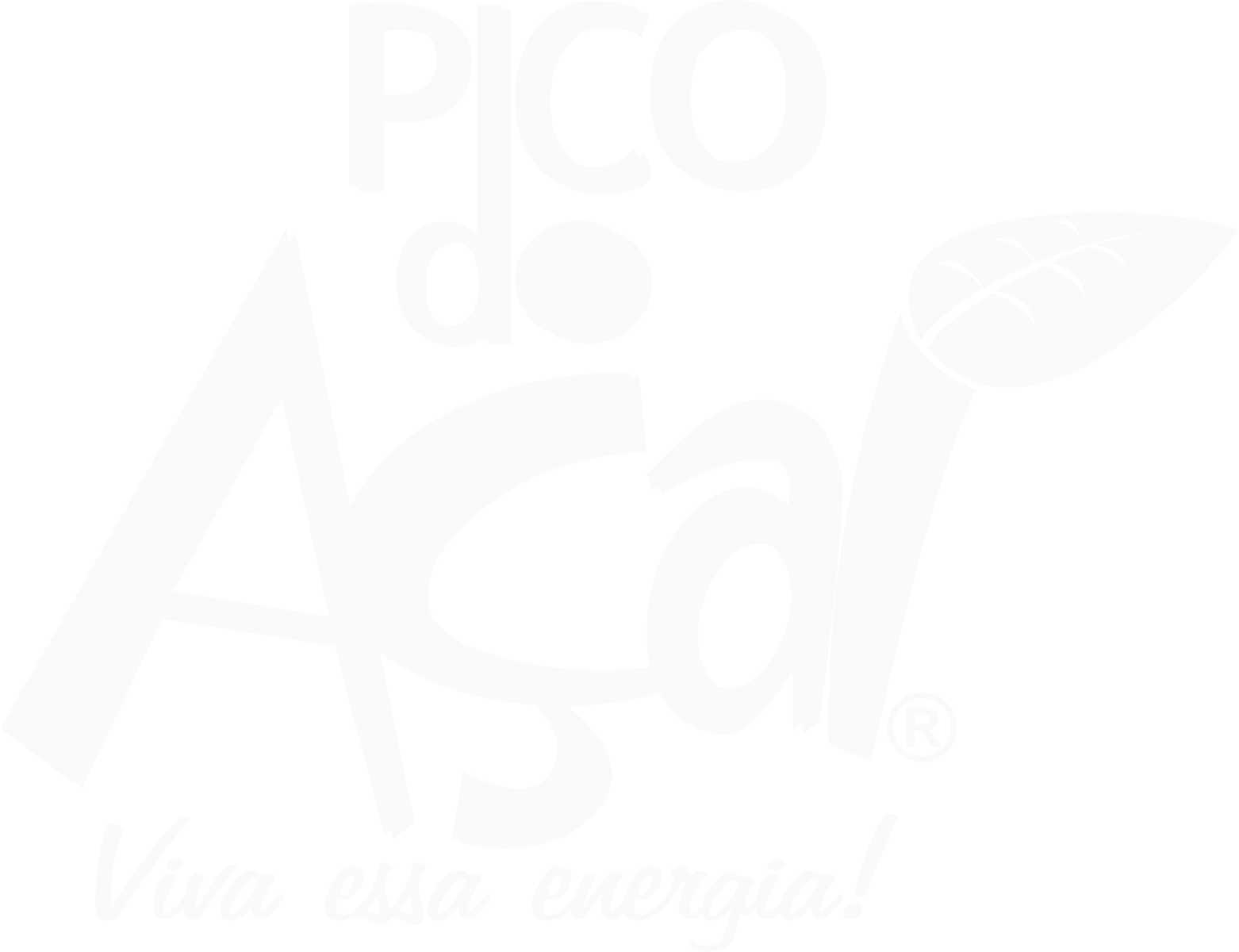 Pico do Açaí Itajubá